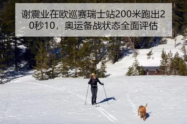 谢震业在欧巡赛瑞士站200米跑出20秒10，奥运备战状态全面评估