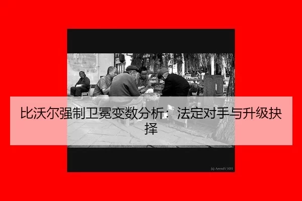 bi-wo-er-qiang-zhi-wei-mian-bian-shu-fen-xi-fa-ding-dui-shou-yu-sheng-ji-jue-ze-3-366.jpg